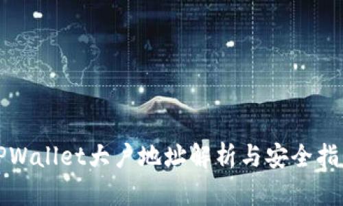 TPWallet大户地址解析与安全指南